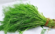 Rau thì là có gây suy thận? Các bác sĩ cảnh báo: Để tránh tổn thương thận, hãy ăn ít 3 loại rau này