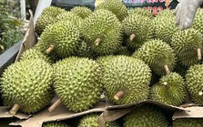 Giá sầu riêng đầu năm cao ngất ngưởng