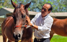 Cụ ông U80 quê Hà Tĩnh: 76 tuổi vẫn làm Chủ tịch 'cầm trịch' dự án trường đua ngựa 1.550 tỷ đồng