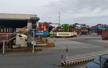 Chủ động thích ứng với chính sách thuế mới