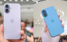 Năm 2026 rồi, nên mua iPhone 16 hay iPhone 17?