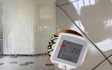 9 món đồ giúp “đánh bay” nồm ẩm trong nhà, có món giá chỉ từ 25.000 đồng