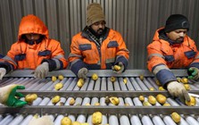 Nền kinh tế vừa soán ngôi Nhật Bản đang cứu Nga 'một bàn thua' giữa cuộc xung đột với Ukraine