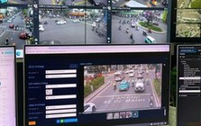 Làm thế nào để tra cứu xe bị phạt nguội?