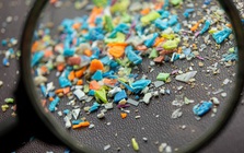 Vi nhựa xuất hiện trong một loạt khối u ung thư