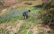 Từ lương 1,9 tỷ đồng/năm xuống còn 22 triệu đồng/tháng: Người đàn ông có học vị tiến sĩ nói mình mới là "kẻ chiến thắng" thực sự