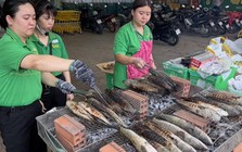 Rẻ bằng 1/6 giá chợ, đại gia bán lẻ tung ra cá lóc nướng trui 49.000 đồng: Toan tính thực sự phía sau mức giá rẻ mạt?