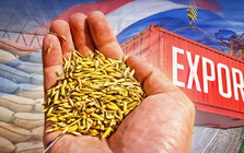 Xuất khẩu gạo Thái Lan lo 'chạm đáy' 5 năm: Vì một chỉ số cao nhất thế giới, gấp rưỡi Việt Nam, Campuchia