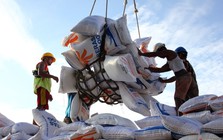 Nước ASEAN nói dừng nhập gạo nhưng giờ lại bất ngờ tính mua gạo Mỹ