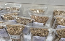 Giá cà phê hôm nay 27-2: Đi lùi, thị trường sắp cân bằng?