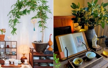 5 việc NÊN làm trong tháng Giêng, 3 việc tuyệt đối KHÔNG NÊN phạm