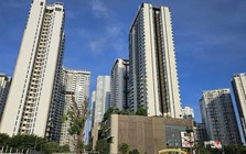 Từ 1-3-2026 chính thức cấp mã định danh điện tử bất động sản và người môi giới bất động sản