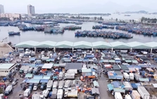 Cảng cá lớn nhất miền Trung sẽ thành cảng du lịch