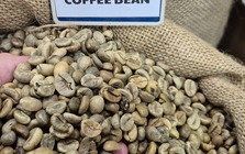 Giá cà phê hôm nay 28-2: Biến động liên tục, Chủ tịch VICOFA nói gì?
