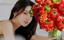 Đẹp tựa ráng chiều rực rỡ: Sự thật về chậu hoa Mao Lương "Cá chép đỏ dưa hấu" khiến hội chị em mê mẩn