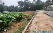 Hướng dẫn cách người dân phán ánh vi phạm đất đai qua đường dây nóng