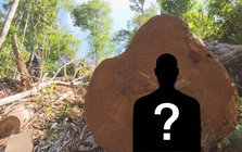 Ra lệnh bắt tạm giam Giám đốc công ty Nguyễn Văn Tiến