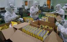 Một ‘đại bàng’ Nhật Bản chọn Việt Nam xây tổ, nước ta trở thành trung tâm xuất khẩu đi 12 nước