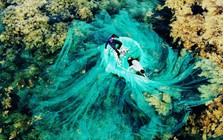 Việt Nam có "mỏ vàng dưới nước", mang về gần 900 triệu USD trong tháng 1: Trung Quốc, Nhật Bản ồ ạt mua