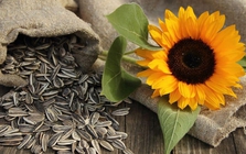 Hướng dương, đậu phộng chưa chắc tốt bằng 3 loại rau này: Tóc đen hơn, người mát, ăn là mê