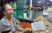 Kiệu Tết được mùa, rớt giá sâu