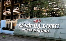 Đồ hộp Hạ Long báo lỗ quý 4/2025 kỷ lục 9,5 tỷ đồng trong hơn 2 thập kỷ sau lùm xùm thịt heo bệnh