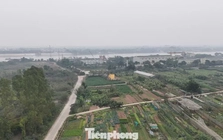 Cận cảnh khu vực làm 3 'siêu đô thị' tái định cư cho Trục đại lộ cảnh quan sông Hồng