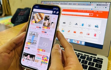 Người Việt đang ngày càng chuộng sắm tết online