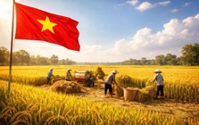 3 lần được vinh danh số 1 thế giới: "Vàng trắng" của Việt Nam khiến loạt quốc gia mê mẩn