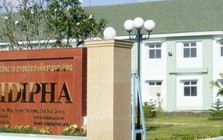 Vidipha lên kế hoạch chào bán gần 10 triệu cổ phiếu cho cổ đông