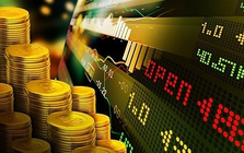 Sàn giao dịch vàng và ổn định tiền tệ: Những thách thức đặt ra và các vấn đề cần kiểm soát