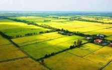 Cách tính tiền sử dụng đất khi chuyển sang đất ở theo quy định mới