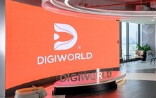 Rót gần 800 tỷ mua HPG, TCB, VPB tạm lỗ 90 tỷ, lãnh đạo Digiworld (DGW) nói gì?
