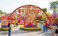 Hội hoa xuân Waterpoint 2026: Điểm du xuân “trên bến dưới thuyền” đặc sắc