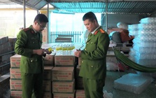 Bắt giữ Lê Thị Lộc chuyên sản xuất giấm giả: Trong nửa năm cung cấp khoảng 60.000 chai giấm chứa toàn axit acetic công nghiệp ra thị trường