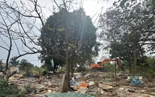 Hà Nội cưỡng chế 7 điểm tập kết cát, sỏi ven sông Hồng