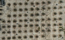 Iraq đang huấn luyện "vàng sa mạc" thành loại siêu chịu đựng