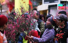 Thời tiết Tết Bính Ngọ biến động khó lường: Chi tiết nền nhiệt từng vùng từ 20 tháng Chạp đến mùng 6 Tết