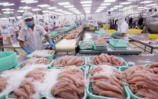 Ngành kinh tế tỷ đô của Việt Nam khởi sắc, Trung Quốc đóng vai trò then chốt