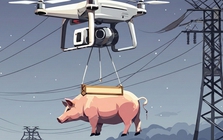 “Lợn bay” đâm vào đường điện cao thế, cả ngôi làng mất điện suốt 10 tiếng đồng hồ