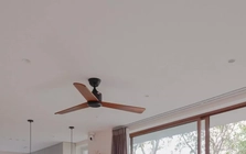 Không gian với góc nhà đầy hoa lá, tràn ngập ánh sáng