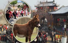 Ngôi làng cổ 600 năm tuổi tại Trung Quốc đổi đời nhờ đóng phim: Cả người và vật nuôi đều thành diễn viên