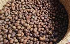 Giá cà phê hôm nay 1-3: Giữ giá tốt, là nhà cung cấp số 2 cho Hàn Quốc