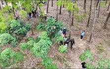 Phát hiện hơn 80 người tập trung tại một khu đất  trống, công an sử dụng công nghệ cao vào cuộc