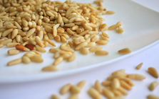 Loại hạt “tí hon” nhưng là “gã khổng lồ” dinh dưỡng, tốt cho tim mạch, chống lão hóa và bảo vệ mắt, ở Việt Nam rụng đầy gốc nhưng ít ai ăn