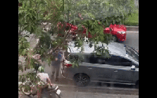 Va quẹt giao thông, rượt đuổi 'đánh hội đồng' tài xế ô tô ở TPHCM