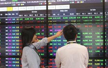 Nhìn lại 25 cú rơi hơn 4% của VN-Index: Thị trường thường cần bao lâu để "lấy lại những gì đã mất"?