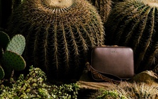 BST Da thực vật Aristino: Tuyên ngôn chất liệu Premium bằng dấu ấn đương đại