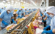 Con trai "vua cá rô phi" ra tay giải cứu cổ phiếu: Mua 1 triệu ANV khi giá rơi về mức thấp nhất 3 tháng