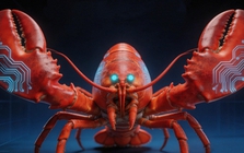 Con "tôm hùm" không ăn được đã gieo rắc nỗi lo lắng cho nhiều người Trung Quốc: Lý do là gì?